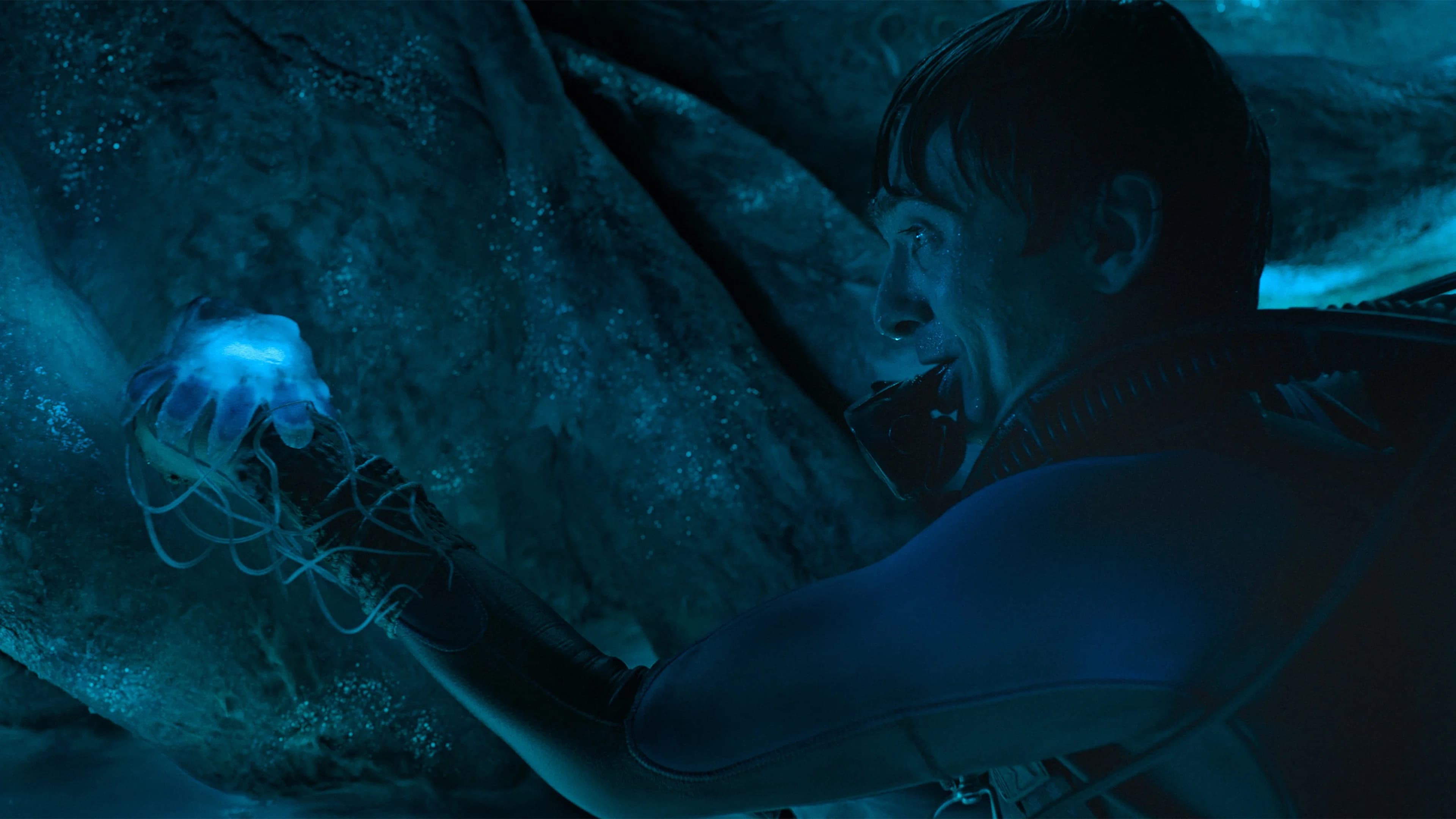 Picture of the movie