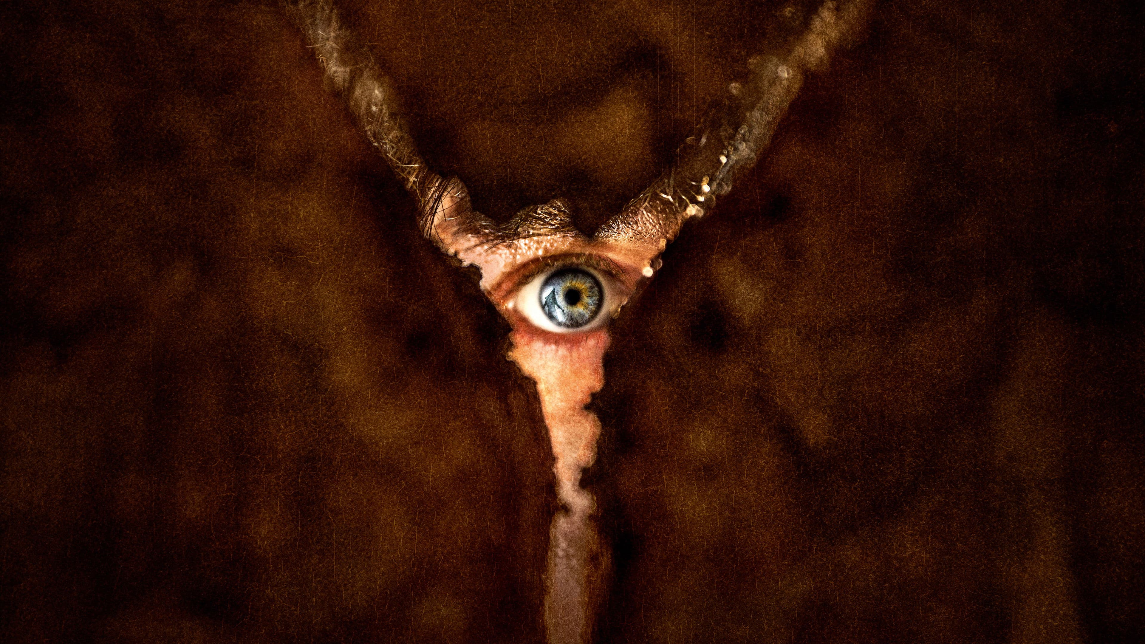 Picture of the movie